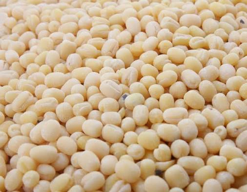 Urad dhall grains